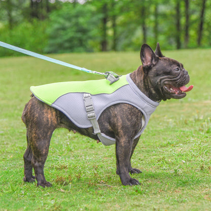 Summer Cooling Vest for Dogs - Breathable, Sun-Proof, and Heat-Resistant Clothing for Small to Large Dogs, Ideal for Outdoor Walks